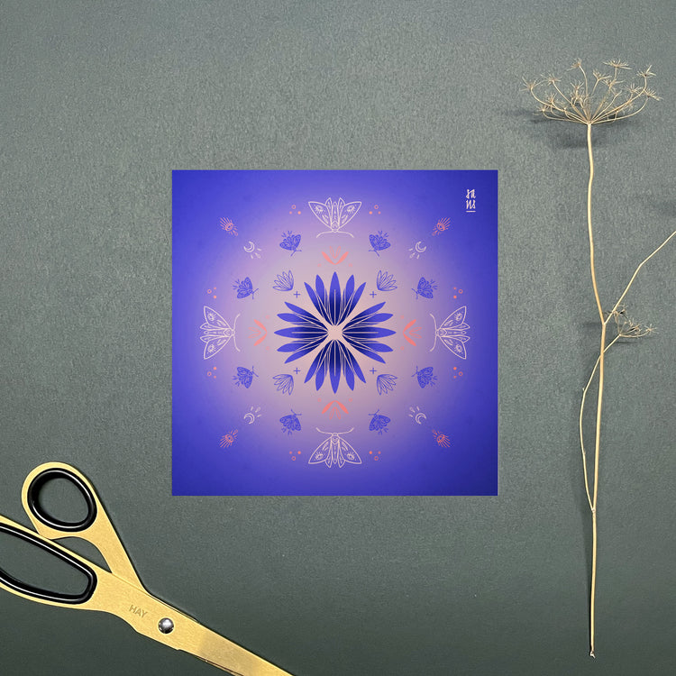 Sandra Staub - Set de cartes postales "Mites"