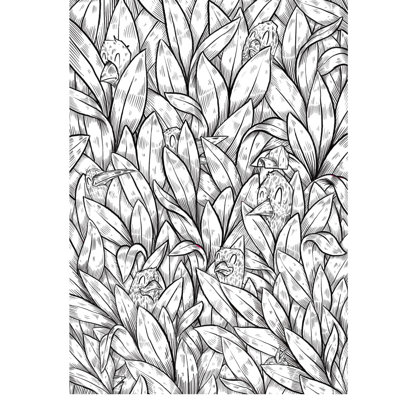 RIPS1 - Coloriages (numériques)