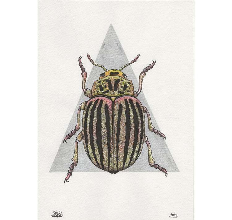 SOPE - "Carabidae" originaux