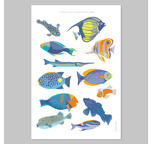 Takelwerk - Plakat "Fische"