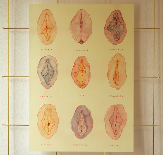 Veronica L. Montaño - Plakat "Jede Vulva ist schön <3“