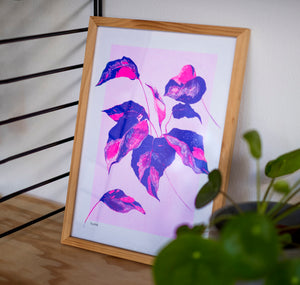 YOMA design factory - Plakat "Pink Leaf"