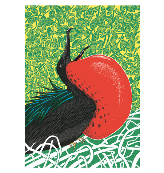 Andrea Peter - Affiche "Frégate Oiseau"