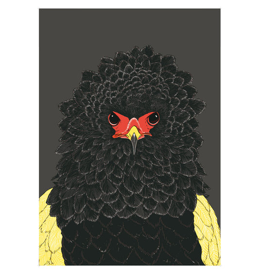 Andrea Peter - Affiche "Gaukleradler"