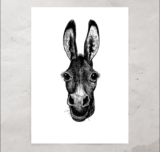 Jared Muralt - Poster "Donkey"