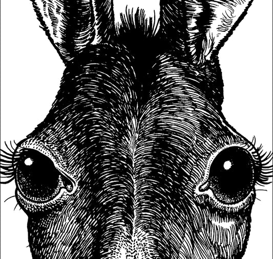 Jared Muralt - Poster "Donkey"