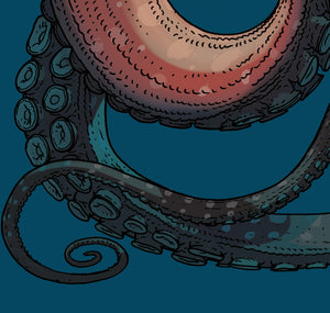 Jared Muralt - Plakat "NYT Reef Octopus"