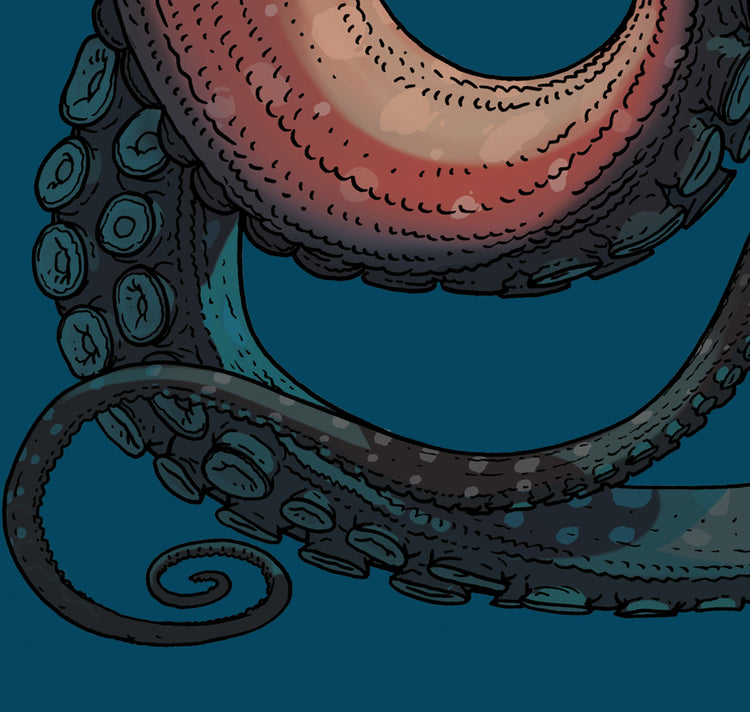 Jared Muralt - Plakat "NYT Reef Octopus"