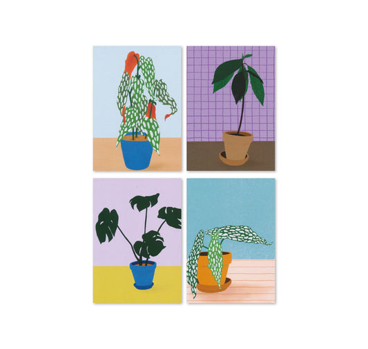 Jolanda Epprecht - Set de cartes postales "Plantes d'intérieur"