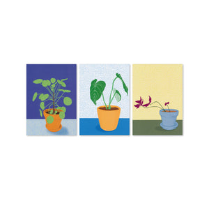 Jolanda Epprecht - Set de cartes postales "Plantes d'intérieur II"