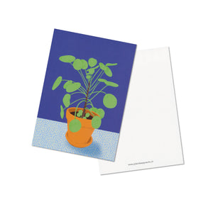 Jolanda Epprecht - Set de cartes postales "Plantes d'intérieur II"