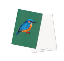 Laden Sie das Bild in den Galerie-Viewer, Jolanda Epprecht - Postkartenset &quot;Vögel&quot;

