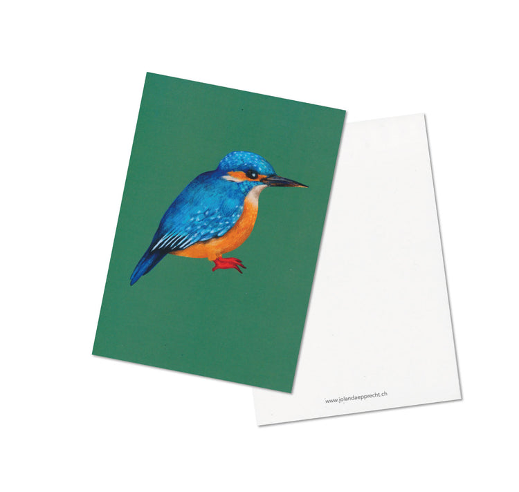 Jolanda Epprecht - Postkartenset "Vögel"