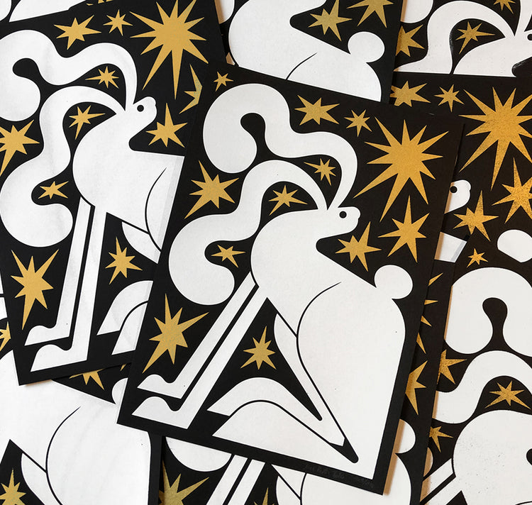 Joël Roth - Cartolina "Lepre delle nevi"