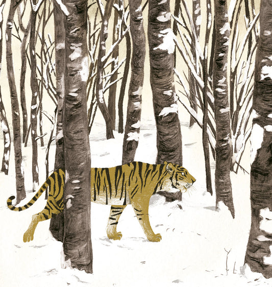Andrea Peter - Affiche "Tigre"