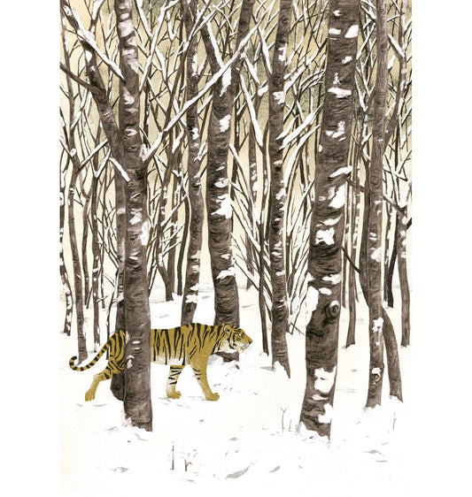 Andrea Peter - Plakat "Tiger"